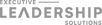 Executive_Leadership_gray-50
